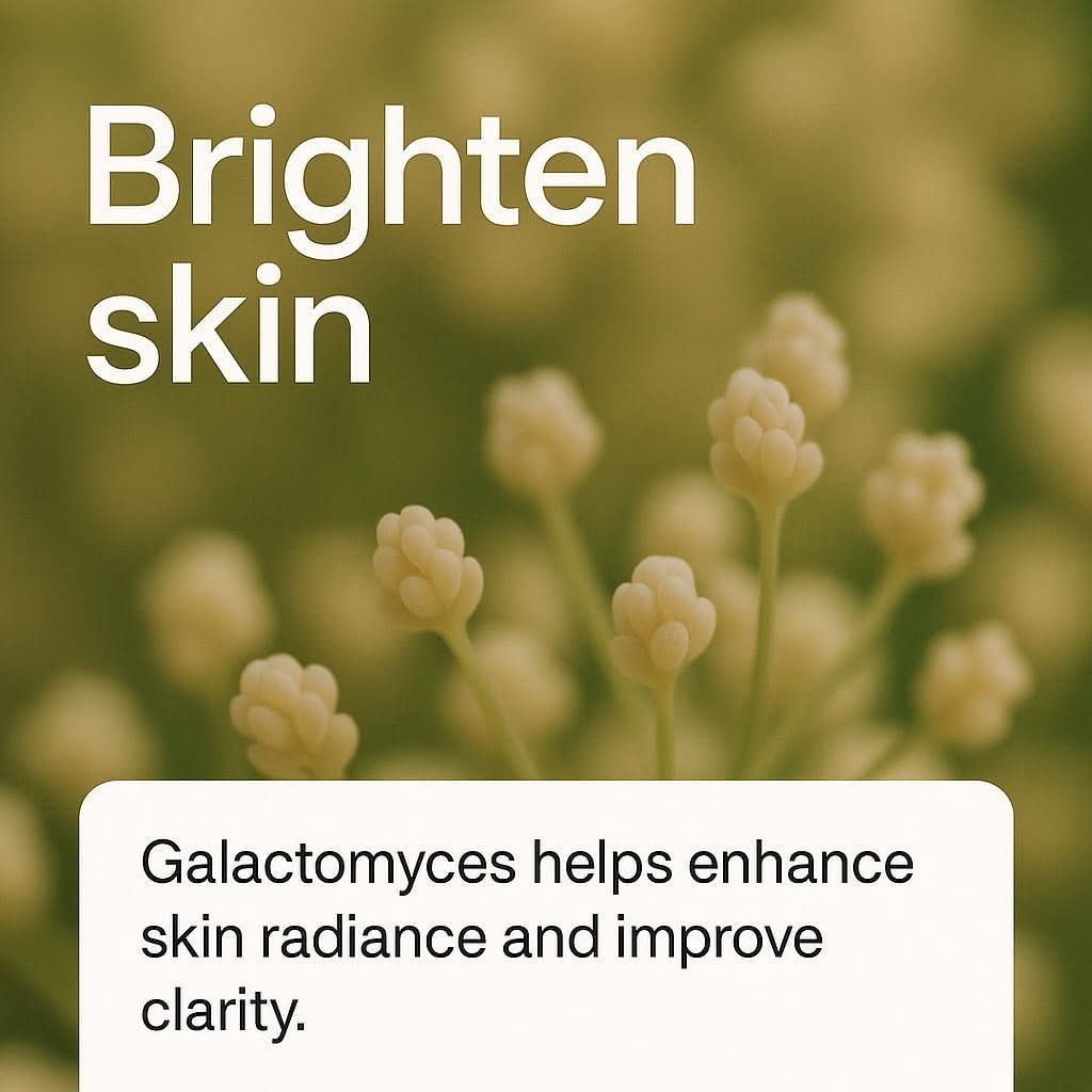 Galactomyces 100% Brightening Essence - Delune 